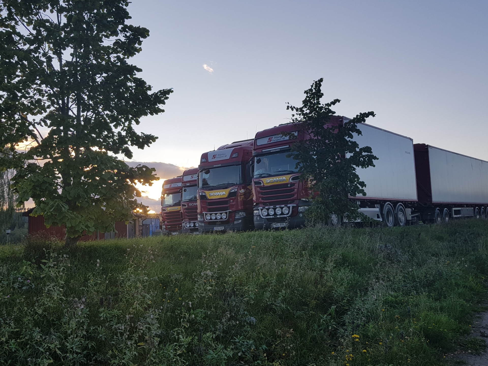Scania-ekipage uppställda i solnedgången