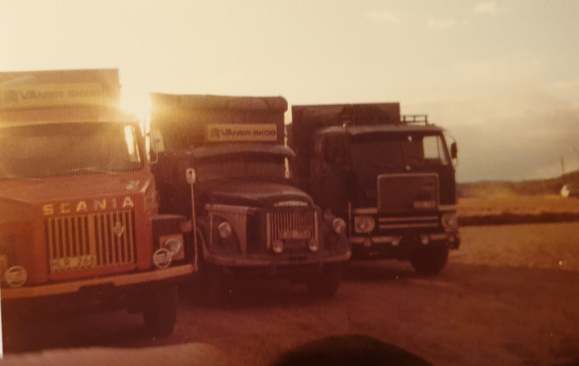 Tre historiska lastbilar — Scania och Volvo — i solnedgång